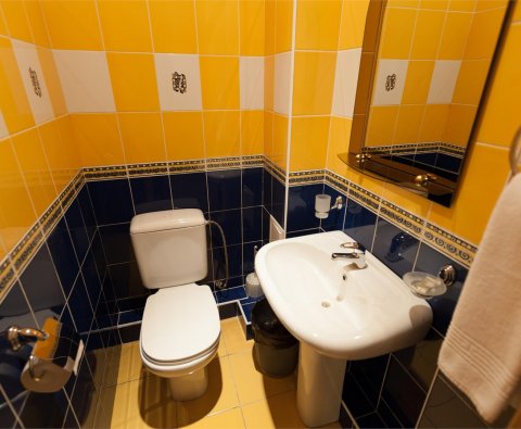 Superior Junior Suite
